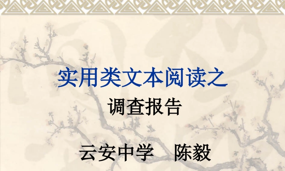 高考语文 调查报告文本阅读理论课件