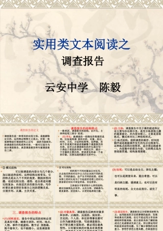 高考语文 调查报告文本阅读理论课件