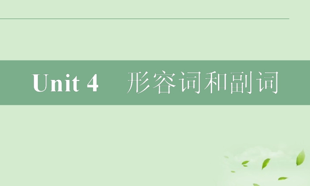 高考英语二轮复习 Unit4 形容词和副词课件