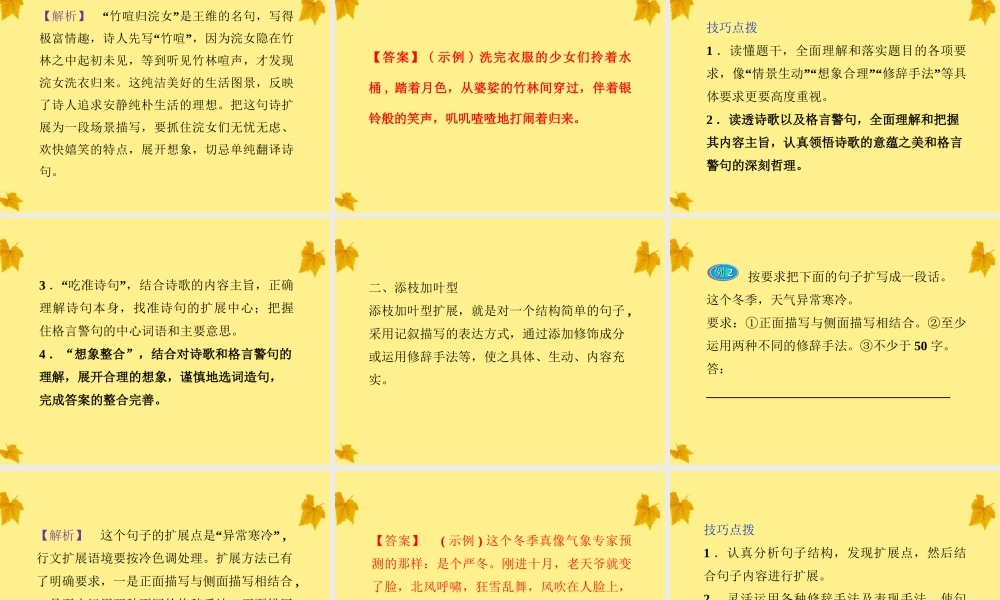 高考语文总复习 第二编第七章第一节扩展语句课件 大纲人教版 课件
