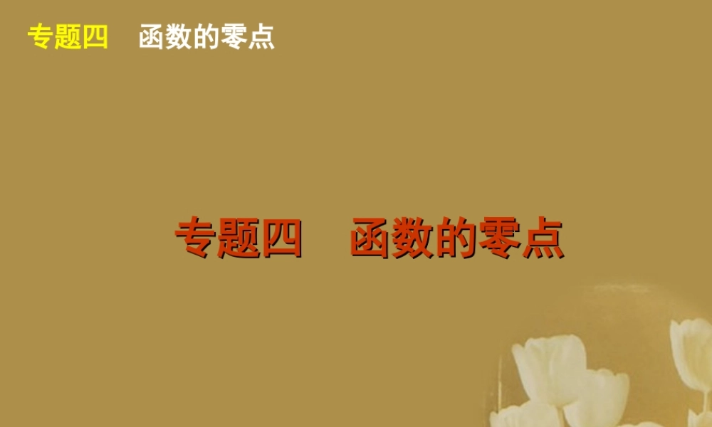 江苏省高考数学二轮复习 专题4 函数的零点精品课件