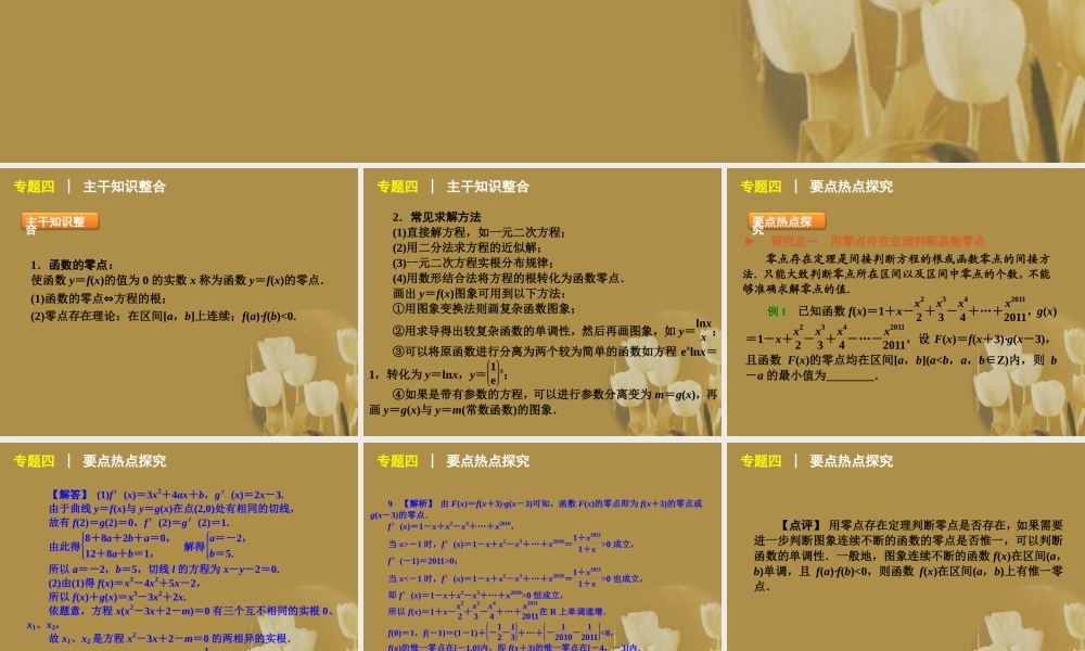 江苏省高考数学二轮复习 专题4 函数的零点精品课件