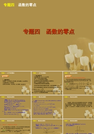 江苏省高考数学二轮复习 专题4 函数的零点精品课件