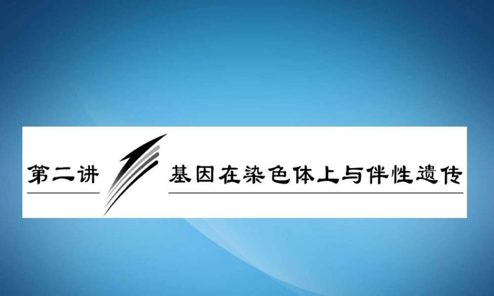 2.2《基因在染色体上和伴性遗传》复习课件