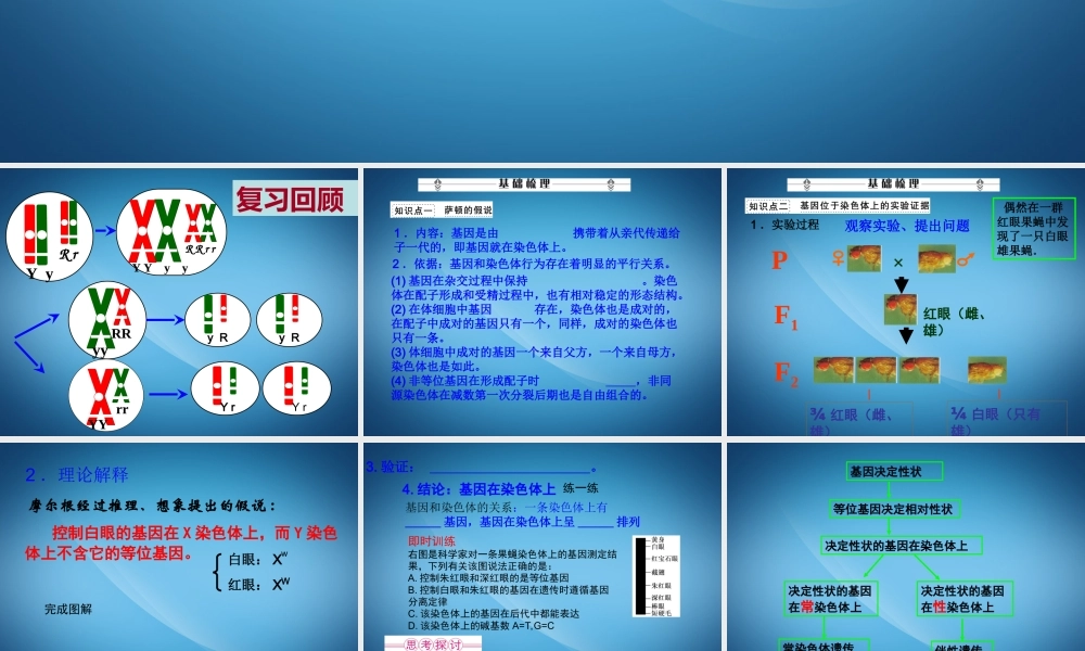 2.2《基因在染色体上和伴性遗传》复习课件