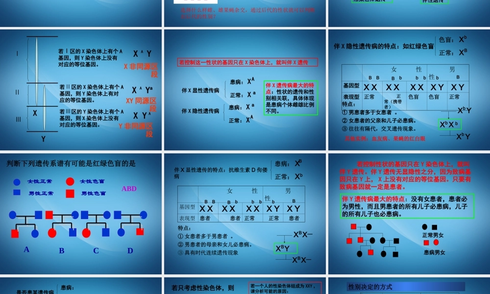 2.2《基因在染色体上和伴性遗传》复习课件