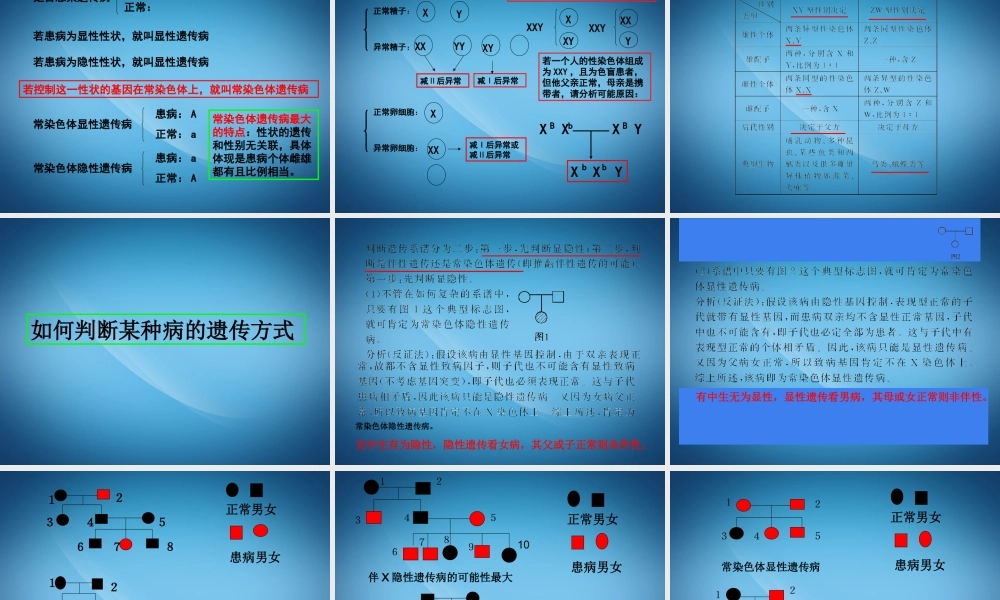2.2《基因在染色体上和伴性遗传》复习课件