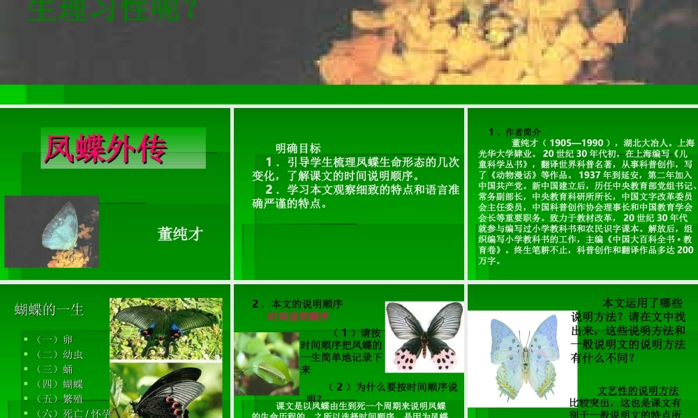 高中语文415 凤蝶外传 课件人教版必修3 课件