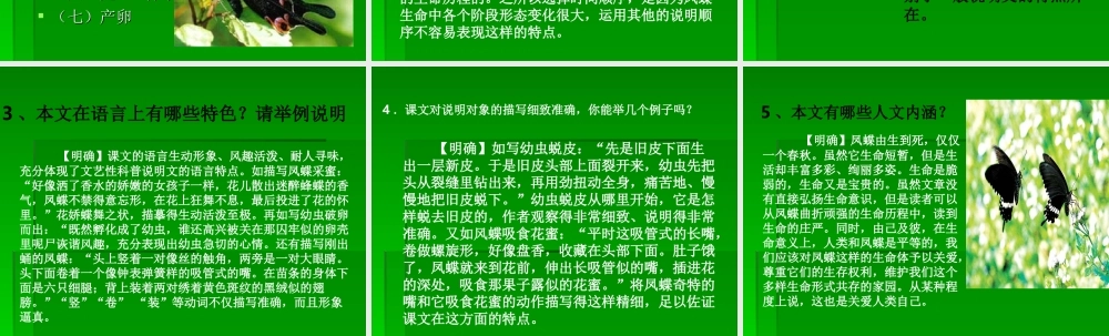 高中语文415 凤蝶外传 课件人教版必修3 课件