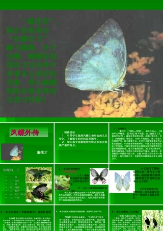 高中语文415 凤蝶外传 课件人教版必修3 课件