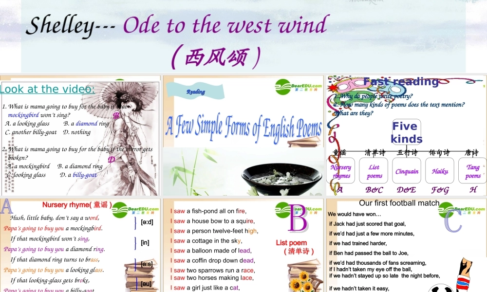 高中英语 Unit2 Reading课件 新人教版选修6 课件