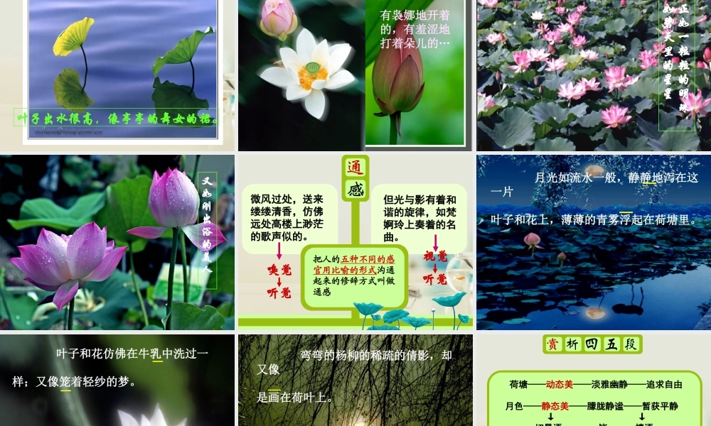 高中语文 荷塘月色4课件 新人教版必修2 课件