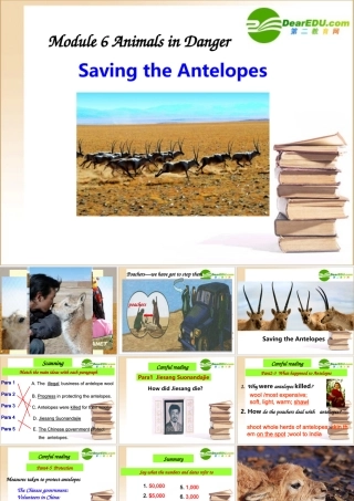 高中英语 Module 6 Animals in Danger优质课件 外研版必修5 课件