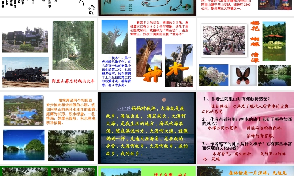 江苏省八年级上第四单元(阿里山纪行)课件苏教版 课件