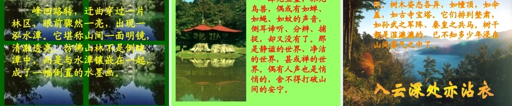 江苏省八年级上第四单元(阿里山纪行)课件苏教版 课件