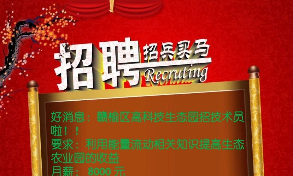 生态系统中的能量流动-(2)