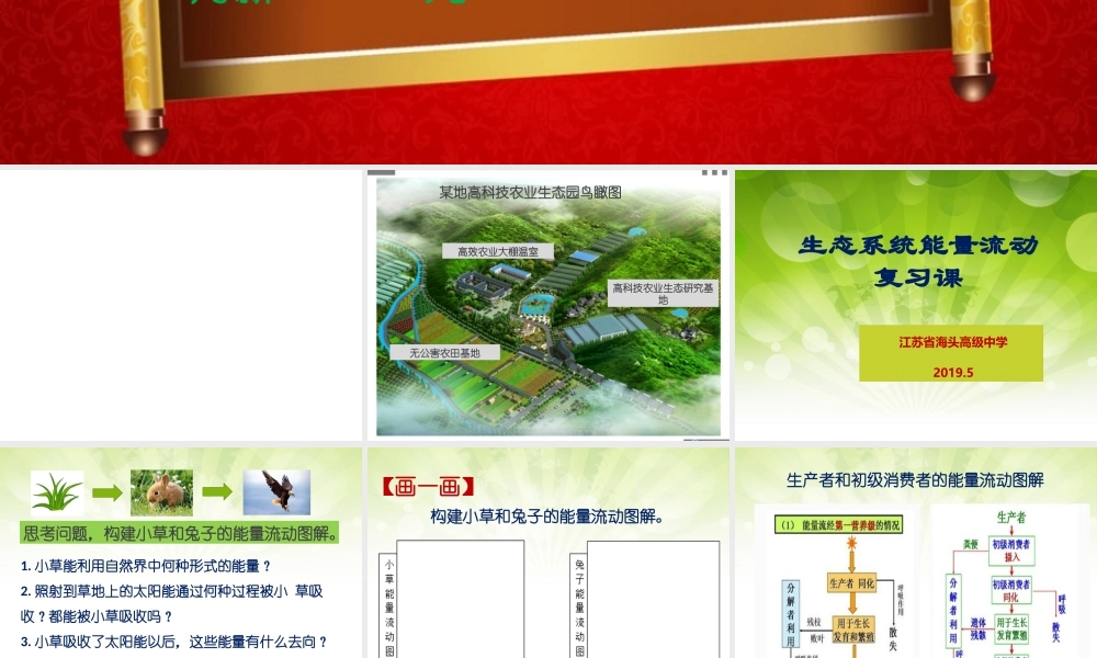 生态系统中的能量流动-(2)