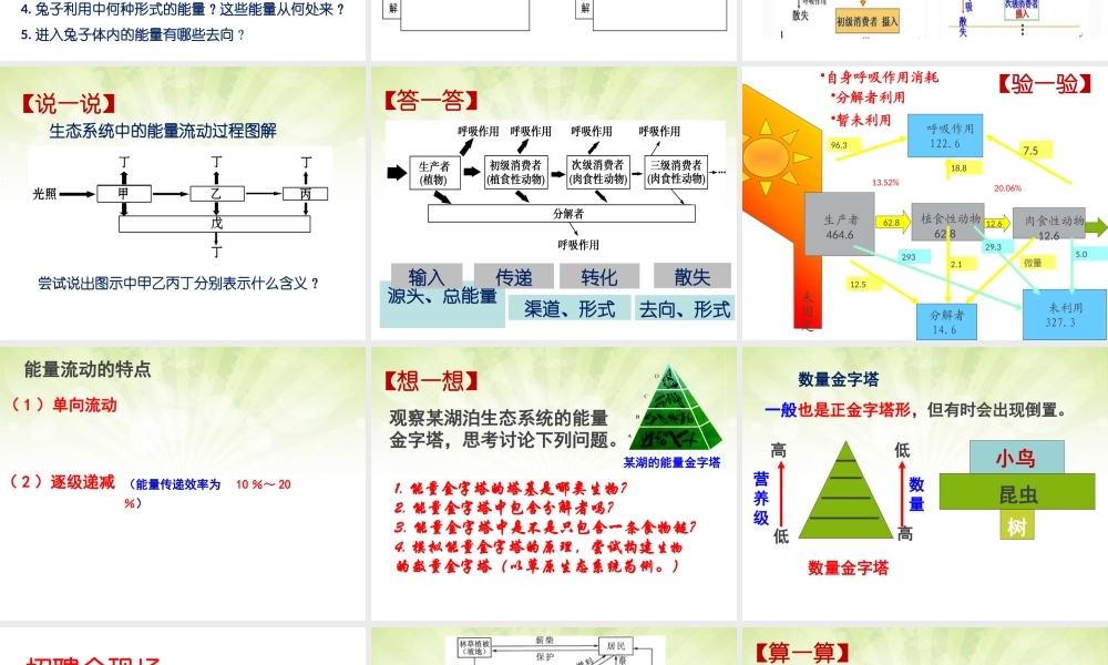 生态系统中的能量流动-(2)