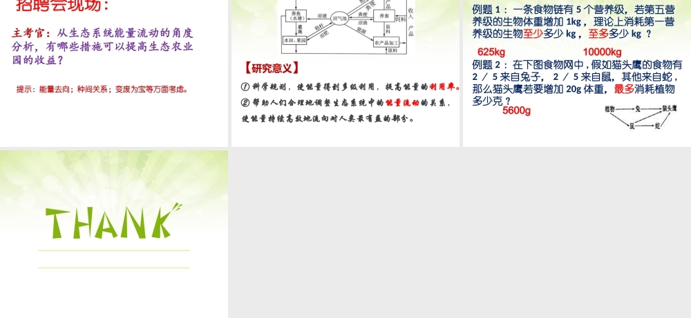 生态系统中的能量流动-(2)