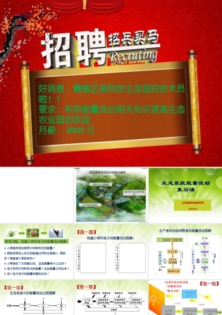 生态系统中的能量流动-(2)