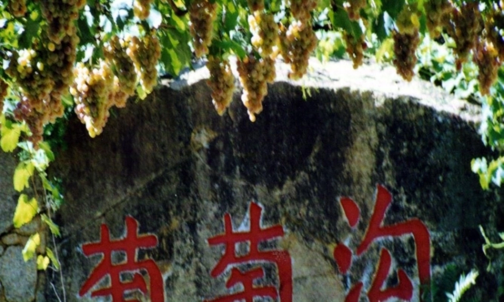 演示文稿1.ppt葡萄沟