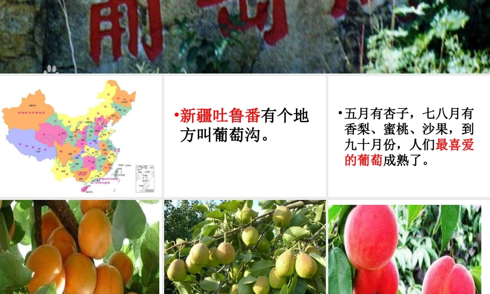 演示文稿1.ppt葡萄沟