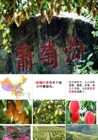 演示文稿1.ppt葡萄沟