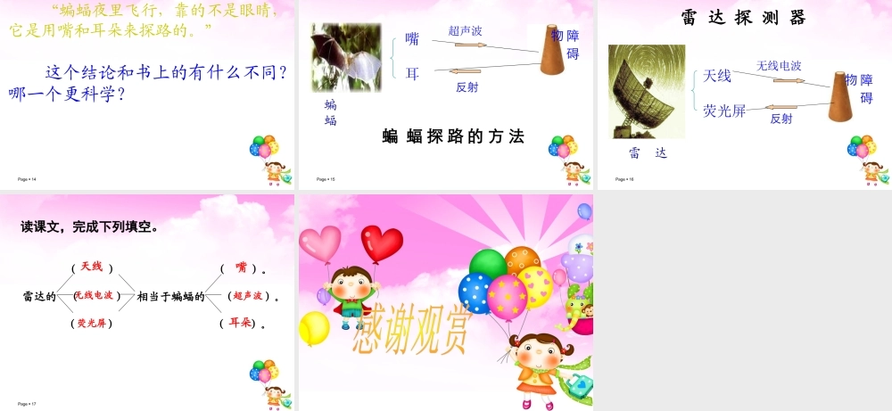 11.蝙蝠和雷达课件