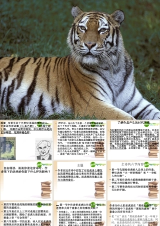 高中语文 优秀课件(老虎) 语文版必修2 课件