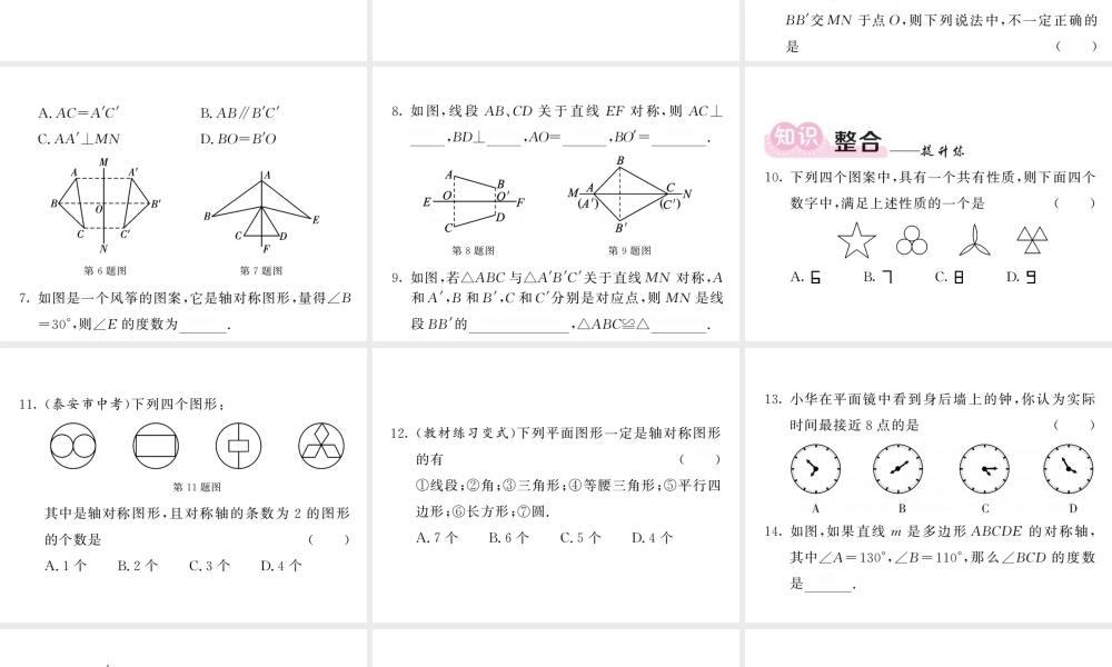 轴对称教学课件