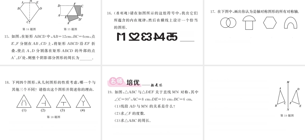 轴对称教学课件