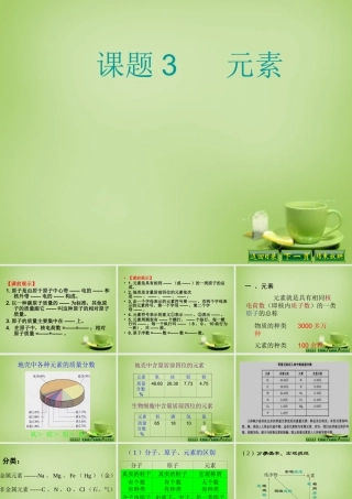 辽宁省灯塔市第二初九年级中学九年级化学上册 3.3 元素课件 (新版)新人教版 课件