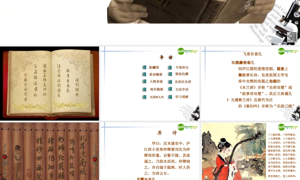 高中语文 古文(孔雀东南飞)课件