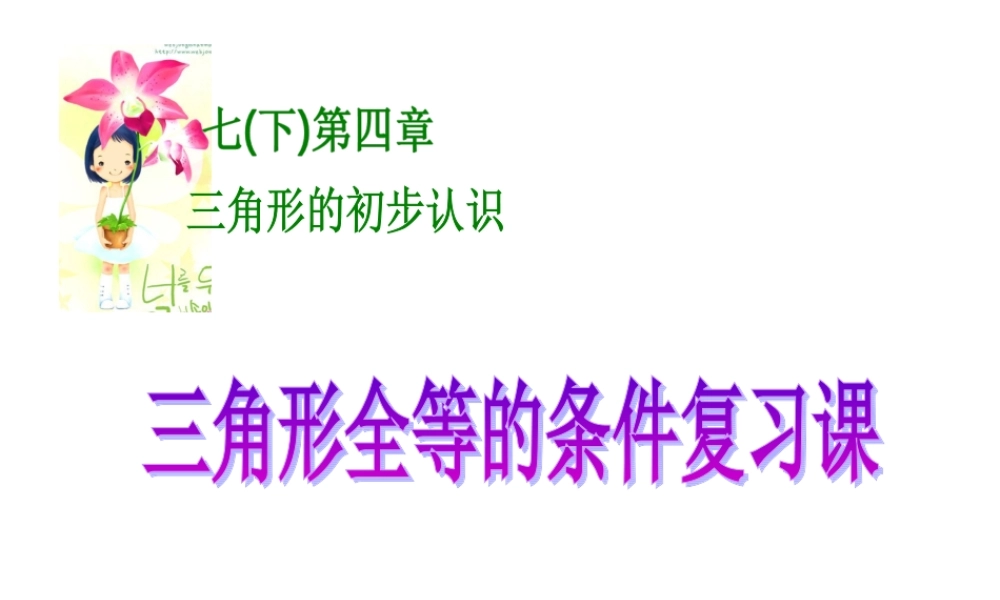 三角形全等复习(二).ppt
