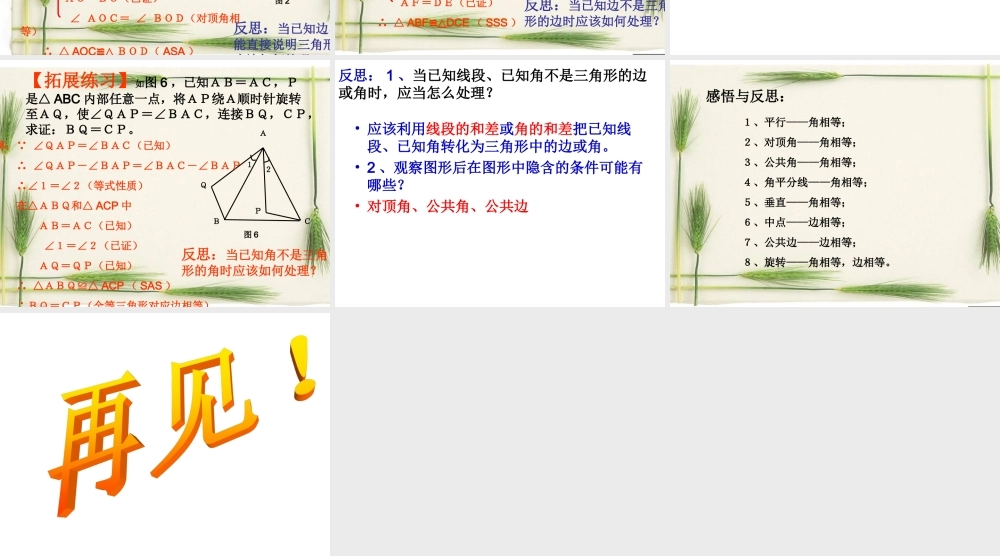 三角形全等复习(二).ppt