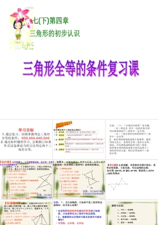 三角形全等复习(二).ppt