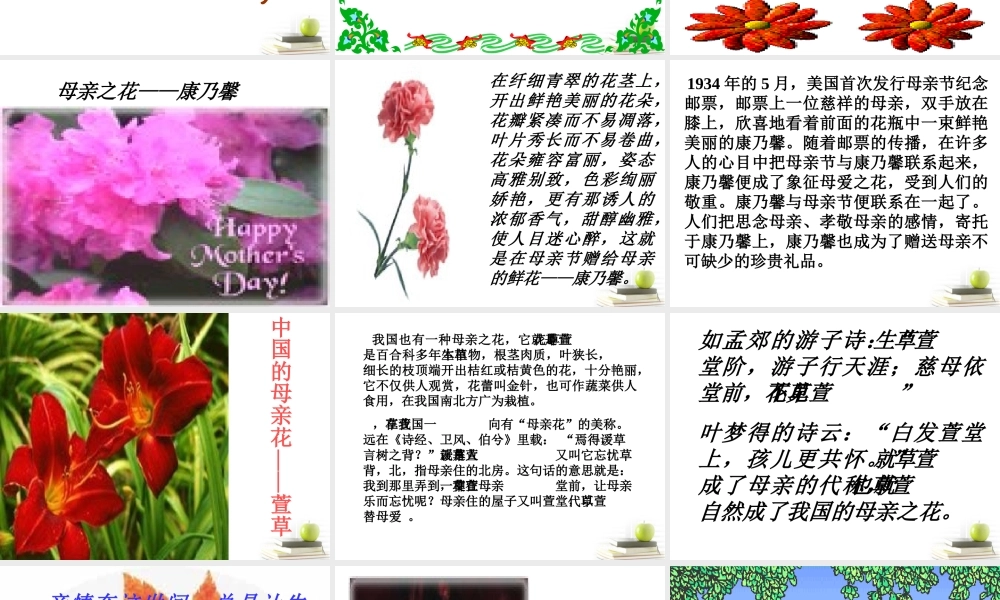 语文 1.1(我的母亲)课件 苏教版选修(现代散文选读) 课件