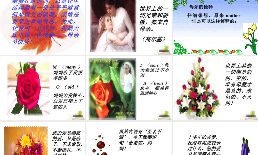 语文 1.1(我的母亲)课件 苏教版选修(现代散文选读) 课件