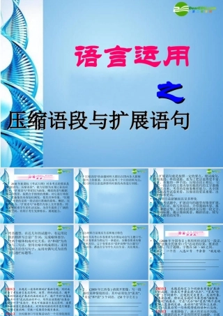 高考语文 语言运用之压缩语段与扩展语句复习课件
