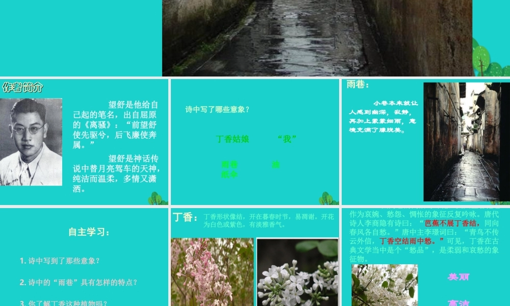 高中语文2雨巷课件2新人教版必修1 课件