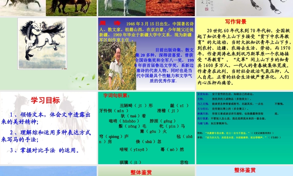 高中语文 1-2(巩乃斯的马)课件 粤教版必修3 课件