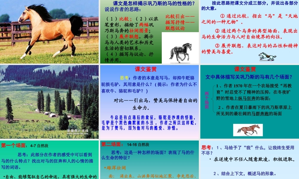 高中语文 1-2(巩乃斯的马)课件 粤教版必修3 课件