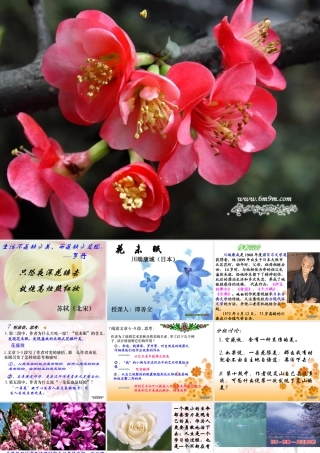 高一语文花未眠教学课件 新课标 人教版0 课件