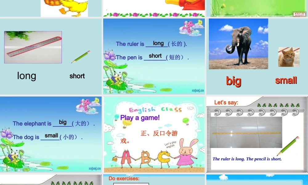 Unit8Therulerislong课件-(2)