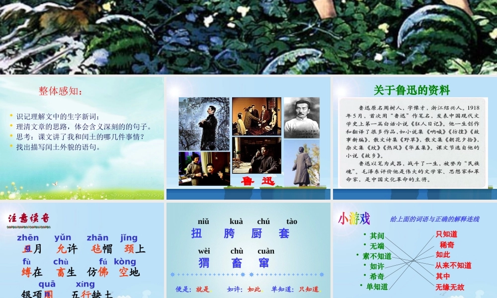 《少年闰土》第一课时