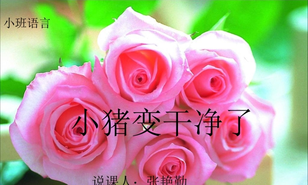小猪变干净了