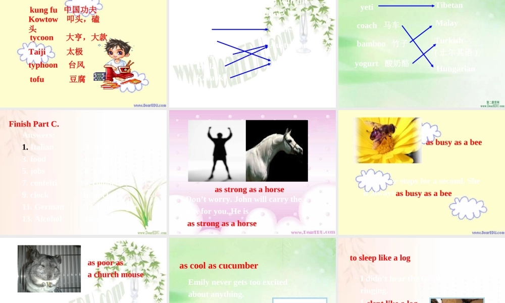 高二英语Module6 Unit3 Wordpower课件