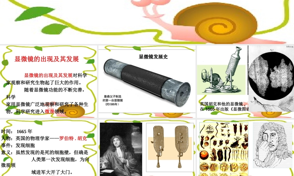 练习使用显微镜课件(人教版七年级上)