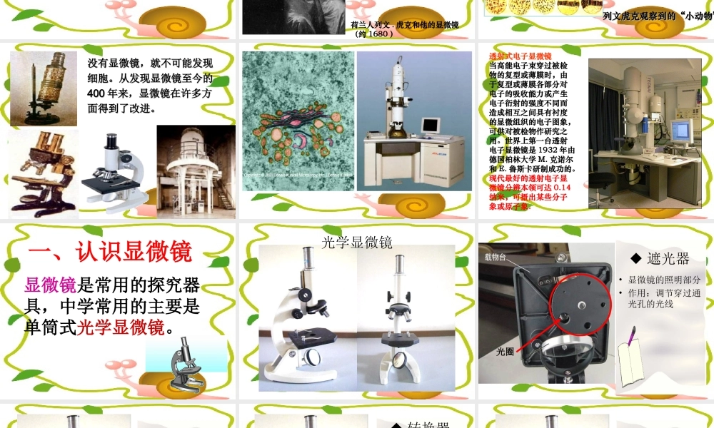 练习使用显微镜课件(人教版七年级上)