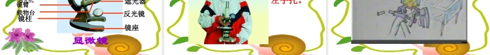 练习使用显微镜课件(人教版七年级上)